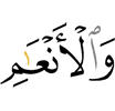 и животных