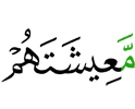 их средства существования