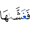 и покрыло их